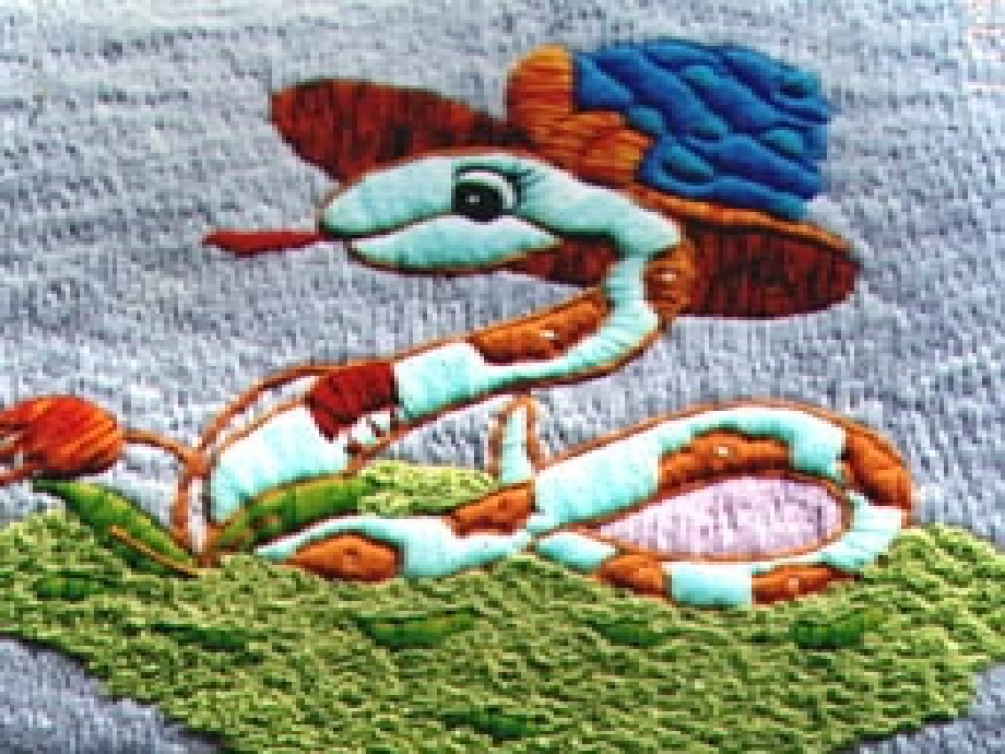 保护有益的动物.ppt_第2页