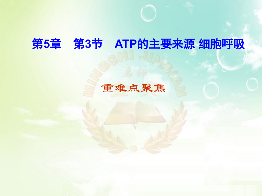 必修1 第5章第3节ATP的主要来源 细胞呼吸.ppt_第2页