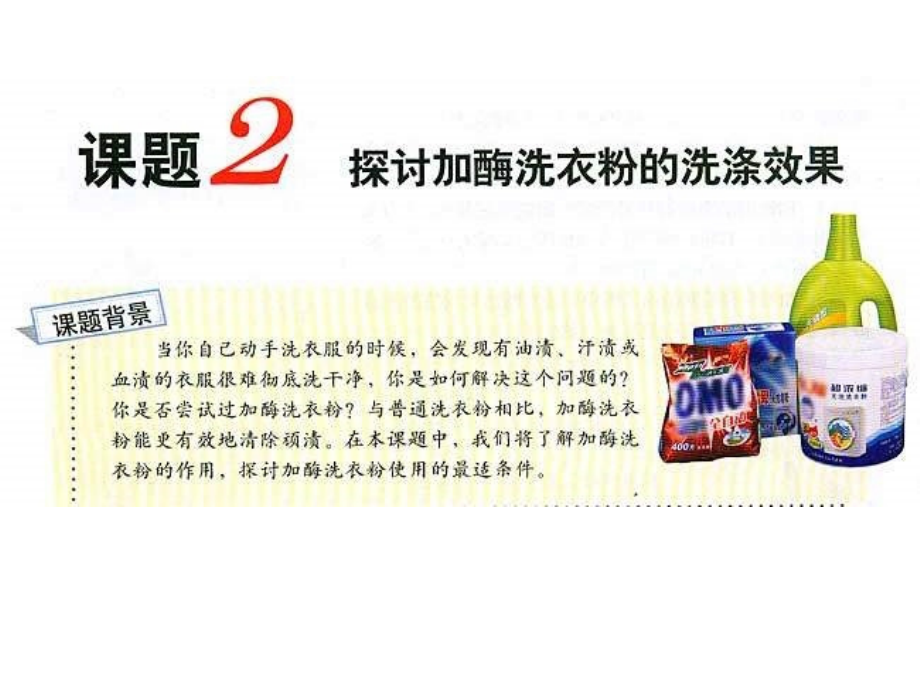 生物探讨加酶洗衣粉的洗涤效果.ppt_第1页