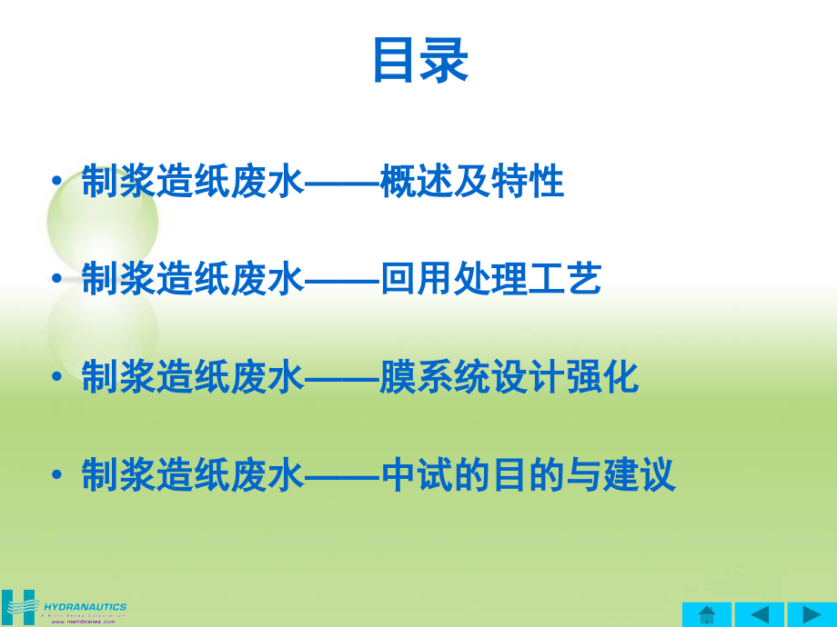 造纸废水.ppt_第2页