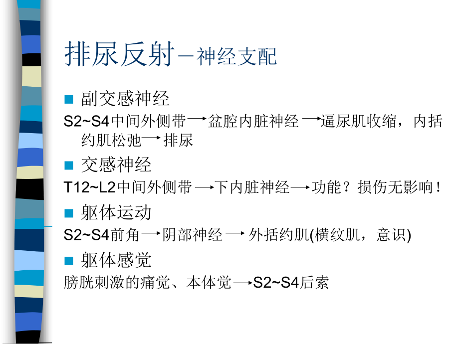 尿便中枢.ppt_第2页