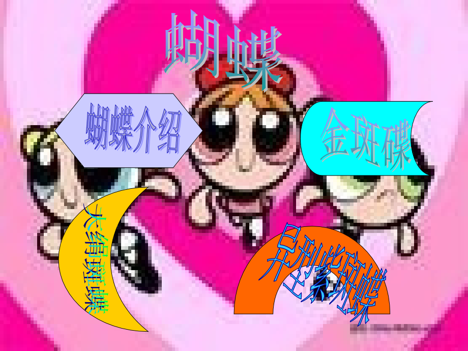蝴蝶介绍.ppt_第1页