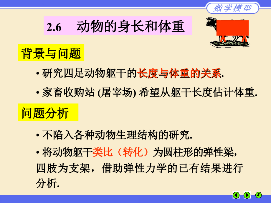 动物的身长和体重.ppt_第1页