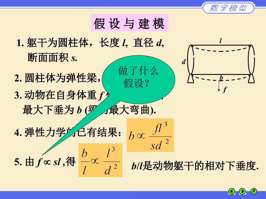 动物的身长和体重.ppt_第2页