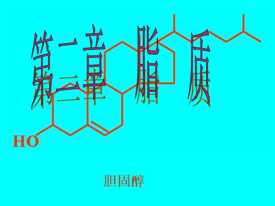 生物化学脂质.ppt_第1页