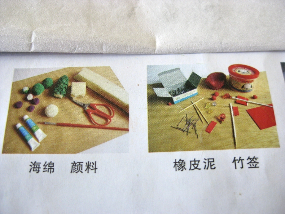 《小小园艺师》课件.ppt_第2页