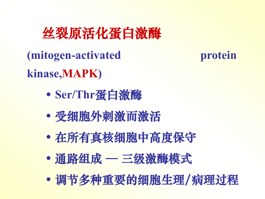 丝裂原活化蛋白激酶.ppt_第2页