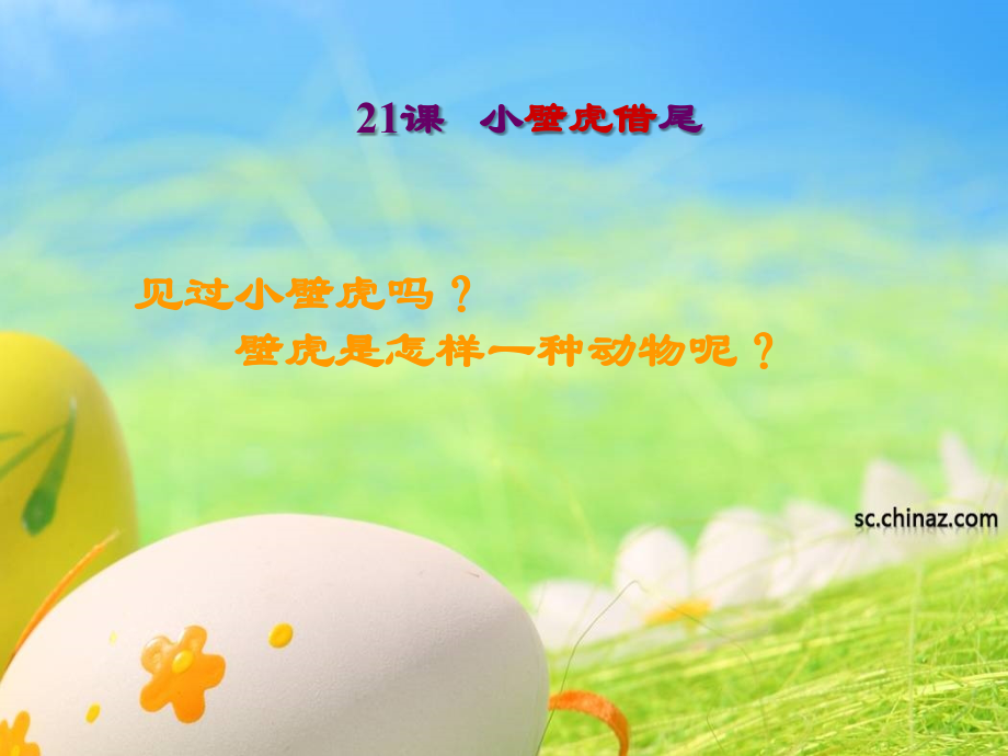 (部编)人教语文一年级下册《小壁虎借尾巴》ppt.ppt_第2页