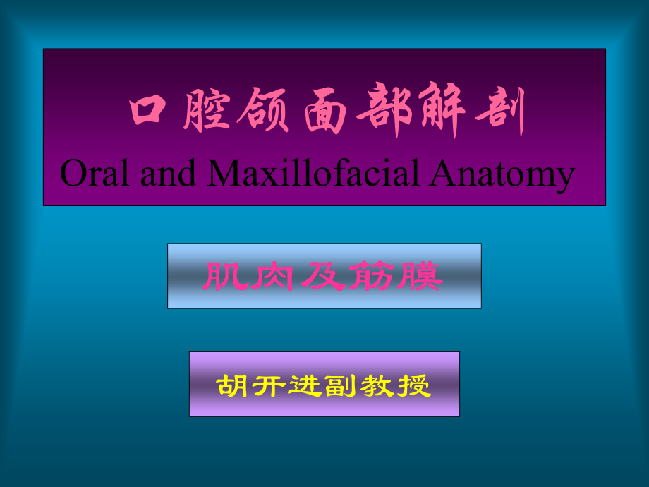 口腔颌面部解剖肌肉及筋膜.ppt_第1页