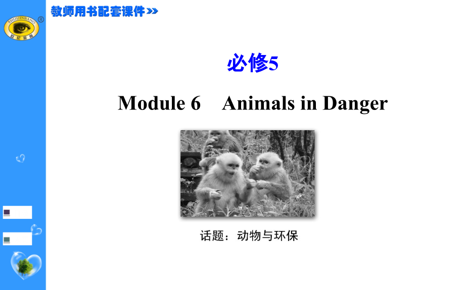 必修5 Module 6.ppt_第1页