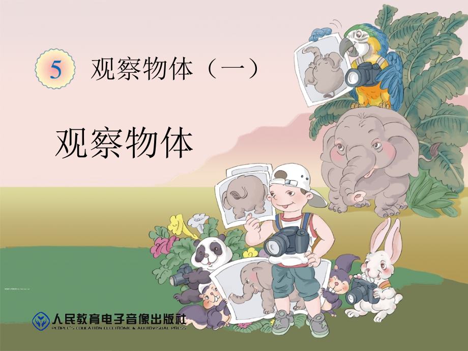 公开课-观察物体课件.ppt_第1页