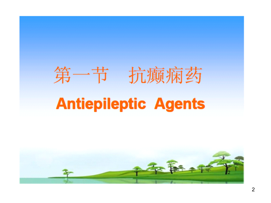 抗癫痫及抗惊厥药物(医学).ppt_第2页