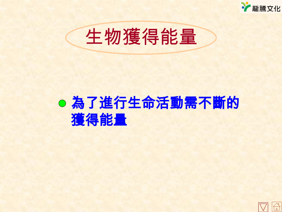 第三章维持生命现象的能量.ppt_第2页