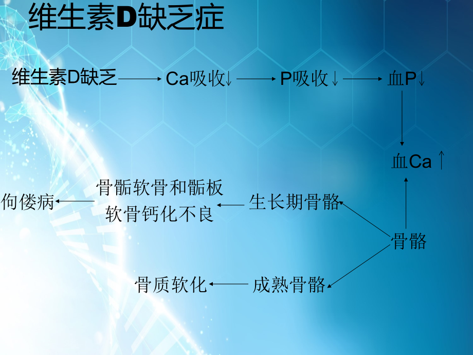 骨代谢及内分泌.ppt_第2页