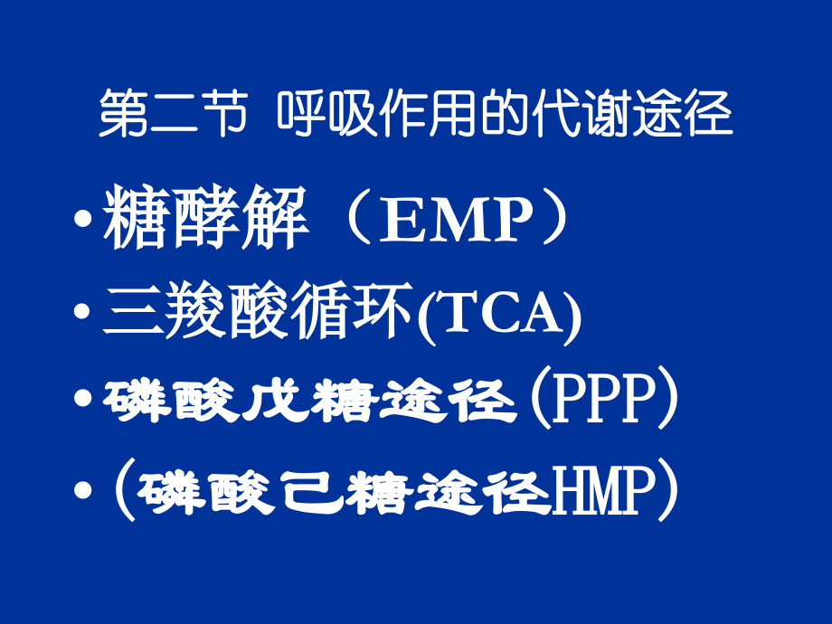 呼吸作用的代谢途径.ppt_第1页