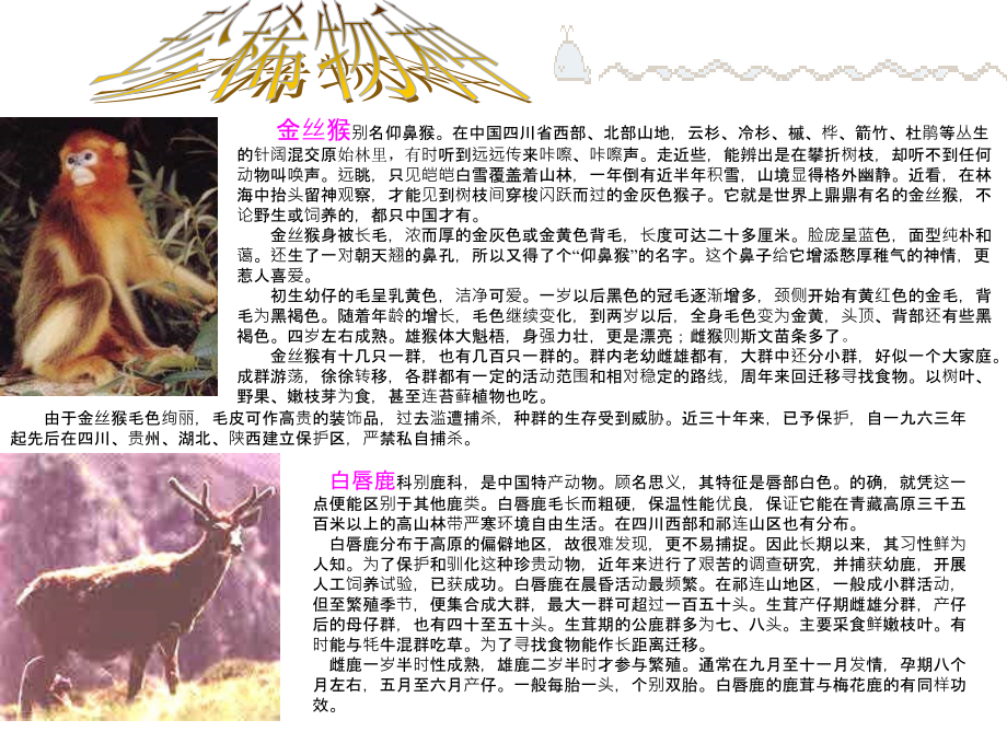 【课件三】4.13.2保护生物圈——从自身做起.ppt_第2页