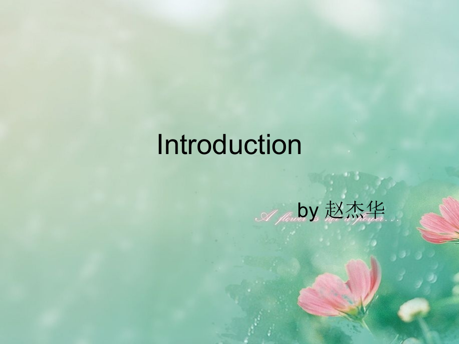第四章-翻译方法-纽马克.ppt_第2页