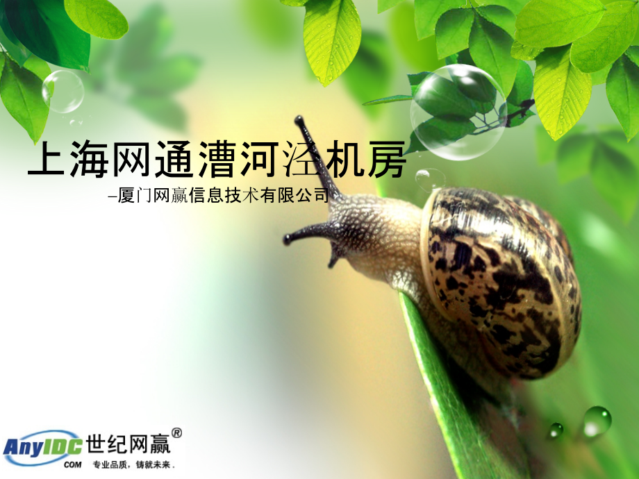 上海网通漕河泾机房.ppt_第1页