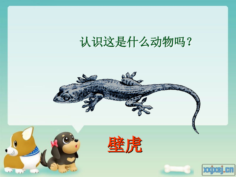 人教版小学一年语文17、小壁虎借尾巴教学课件.ppt_第1页