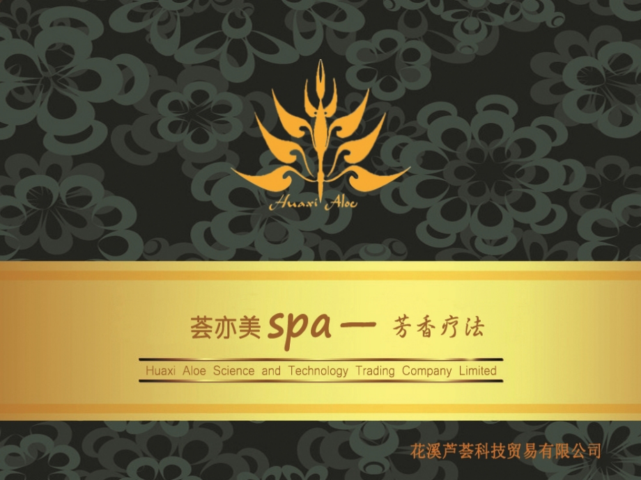 荟亦美芳疗精油SPA.ppt_第1页