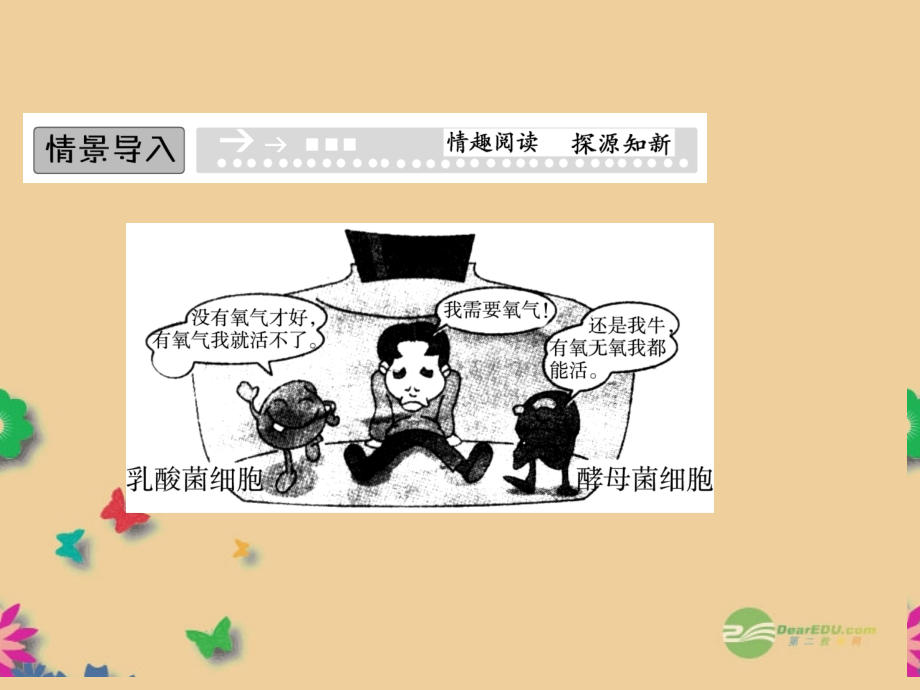 高中生物 3-4-1需氧呼吸和厌氧呼吸课件必修1.ppt_第2页