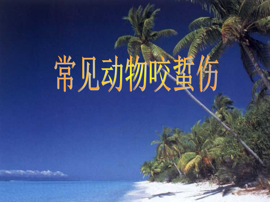 常见动物咬蜇伤.ppt_第1页