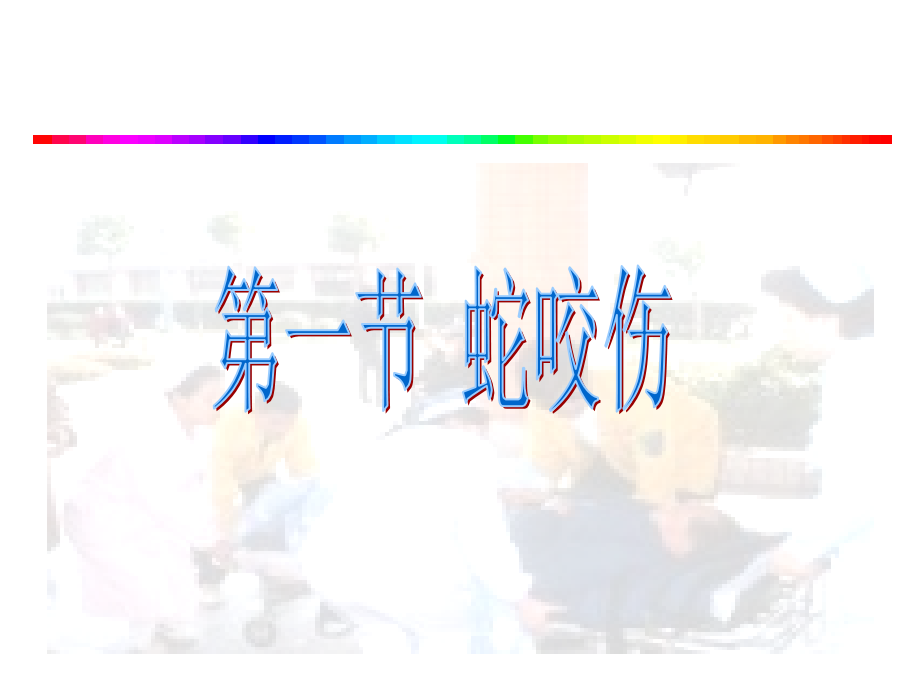 常见动物咬蜇伤.ppt_第2页