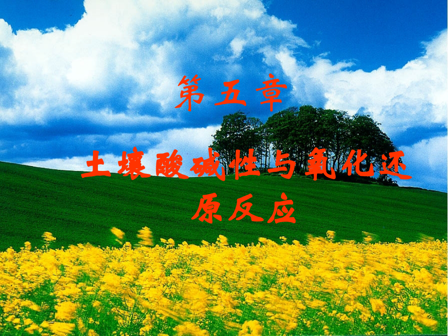 第五章土壤酸碱性.ppt_第1页