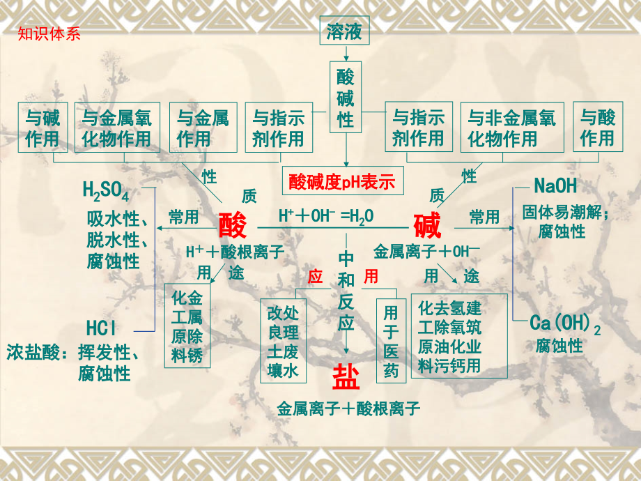 《酸和碱》中考复习ppt课件.ppt_第2页