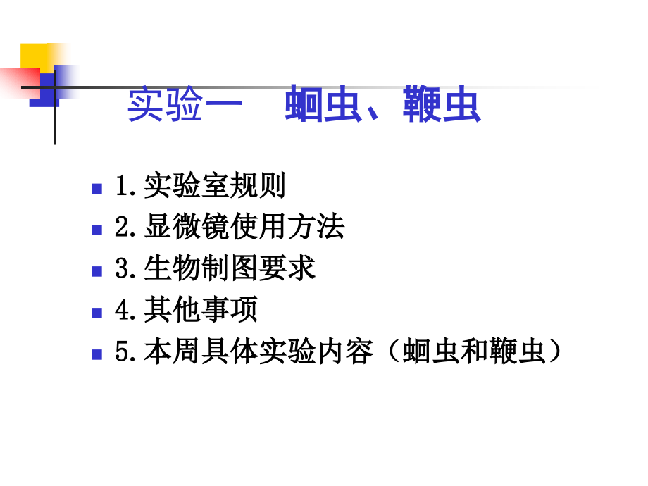 实验1：蛔虫和鞭虫.ppt_第1页