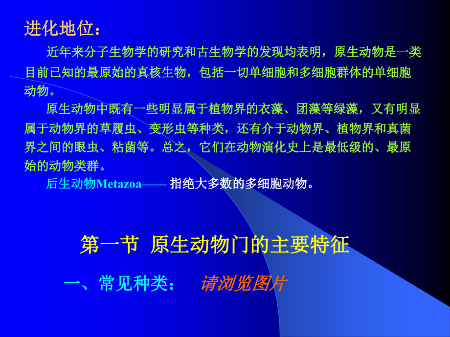 第三章 原生动物门(Protozoa).ppt_第2页