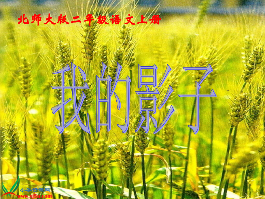 北师大版二年级语文上册《我的影子》PPT课件_-_副本.ppt_第1页
