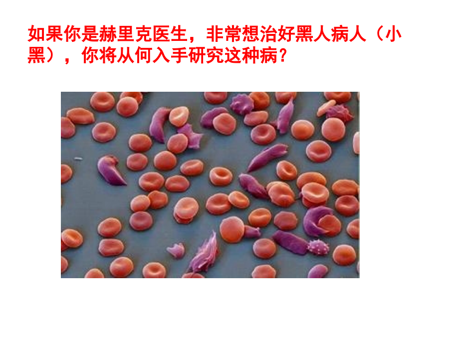 第一节生物变异的来源.ppt_第1页