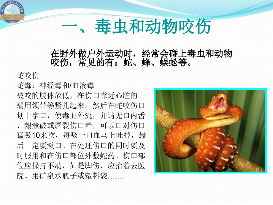 户外急救.ppt_第1页