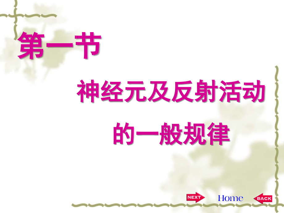 第二版第十章 -神经.ppt_第2页