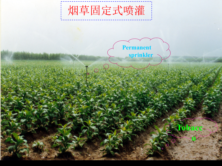 第二章 喷灌工程技术.ppt_第2页