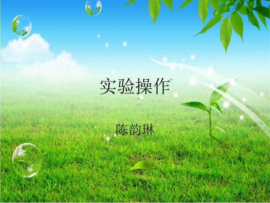 实验步骤.ppt_第1页