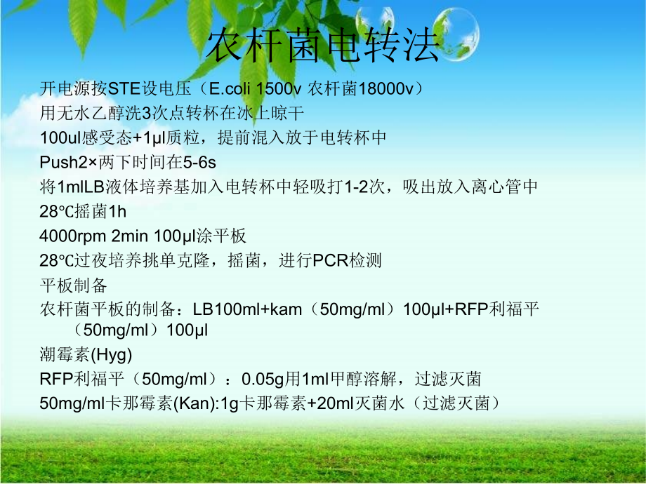 实验步骤.ppt_第2页