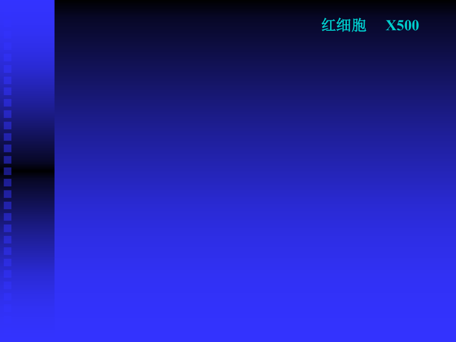 各类细胞电镜图.ppt_第2页