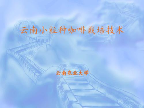 云南小粒种咖啡栽培技术.ppt