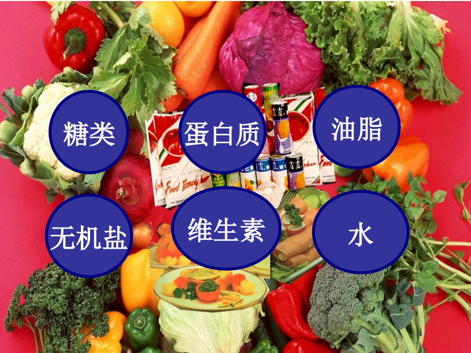 糖类课件(.ppt_第1页