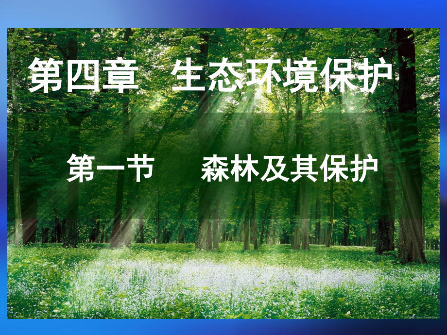 第一节　森林及其保护.ppt_第1页