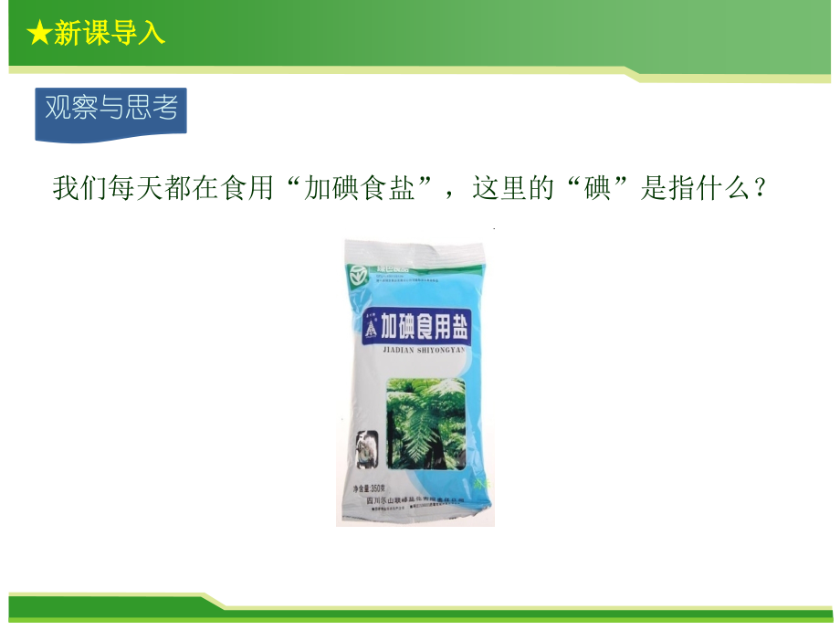 第一节初步认识化学元素.ppt_第2页