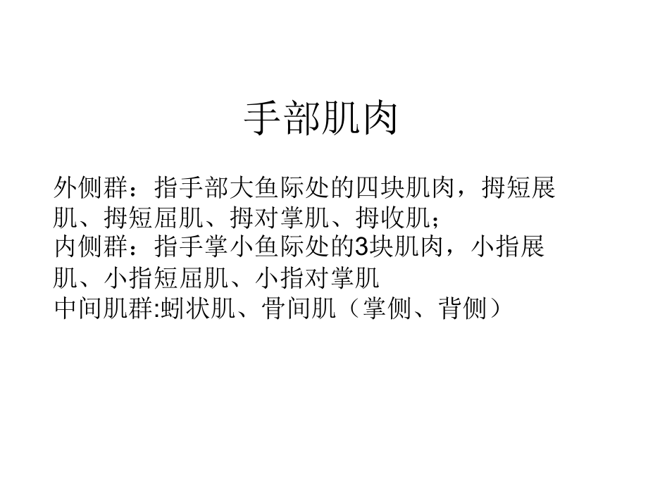 手部肌肉.ppt_第1页