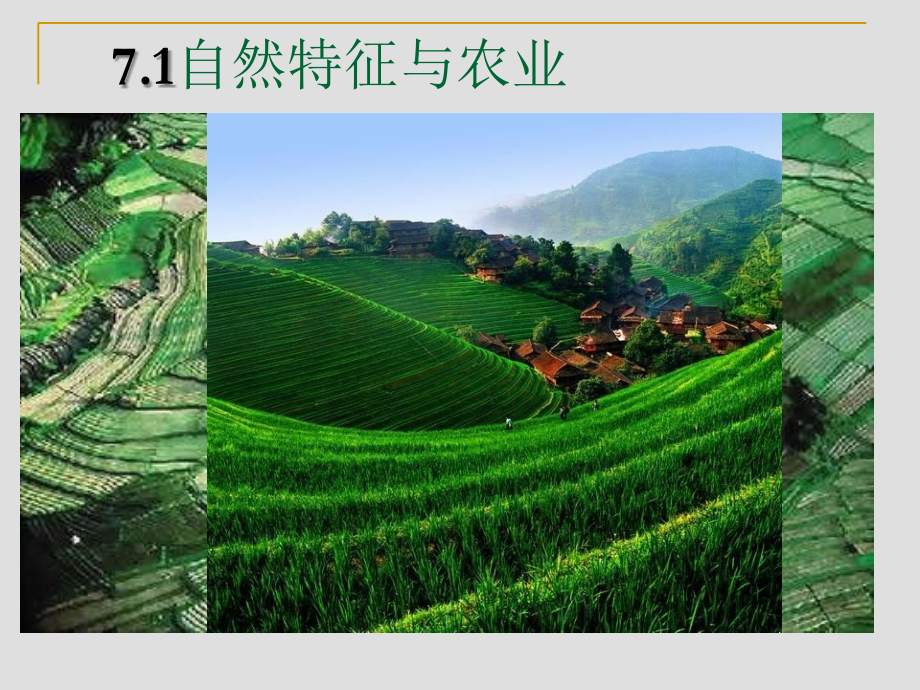 第二节　北方地区和南方地区.ppt_第1页