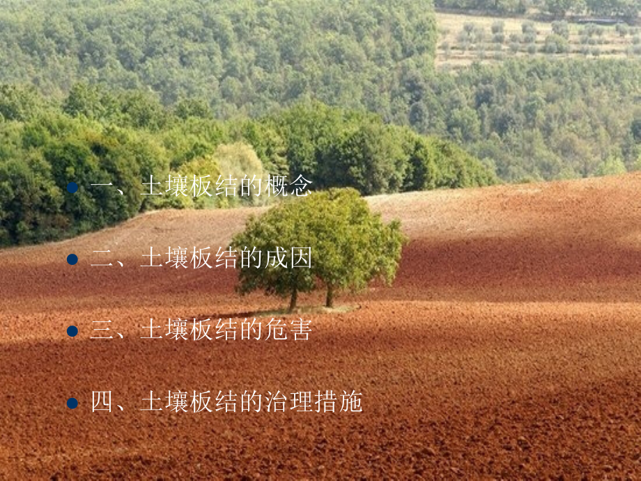 土壤板结与改良方法.ppt_第2页