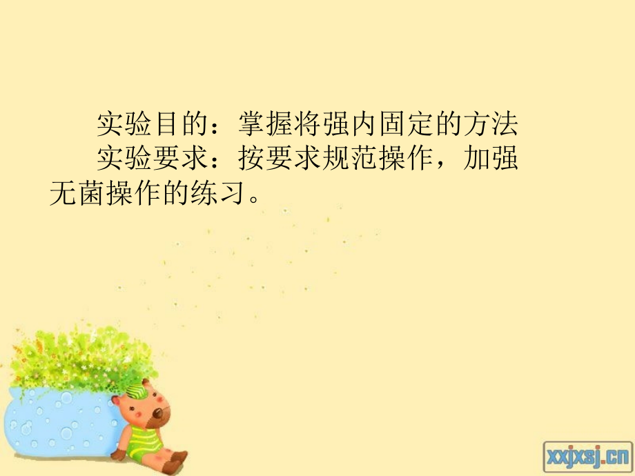 颌骨骨折固定.ppt_第2页