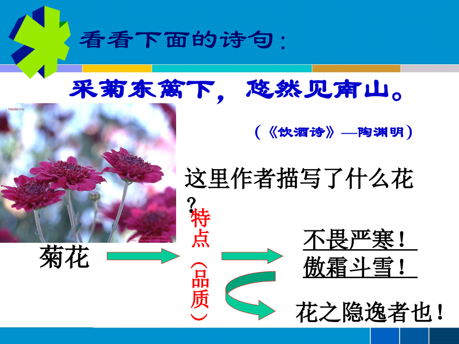 《爱莲说》公开课课件.ppt_第2页