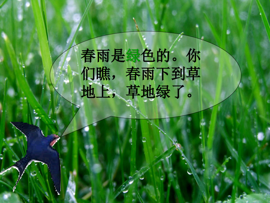 《春雨的色彩》小鸟的争论.ppt_第1页