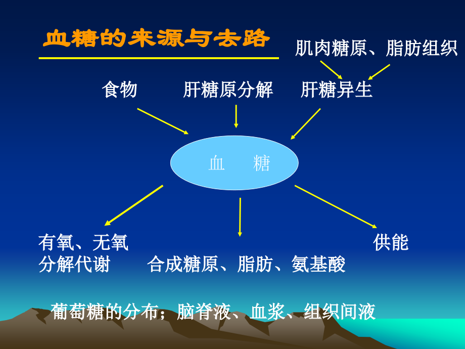 糖尿病抗体三项.ppt_第2页